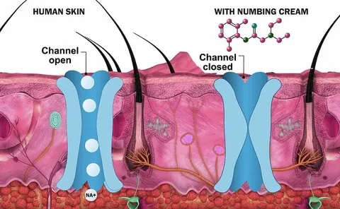 Some Tips You Must Know About TKTX how do tktx numbing creams work